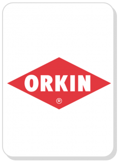 Orkin